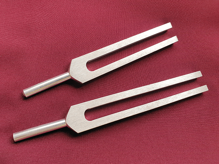 Diagnostic Tuning Fork Set