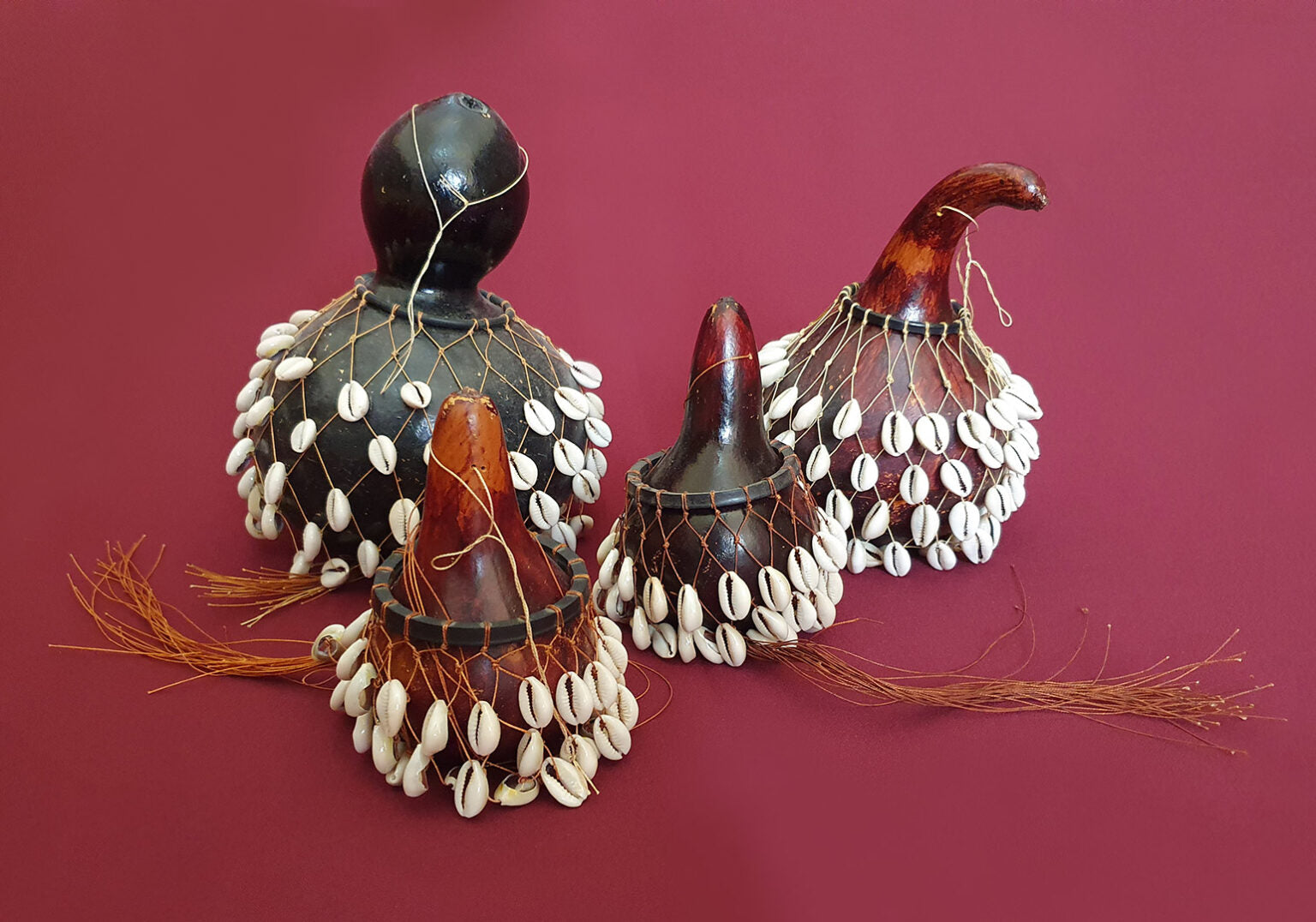 Seashell Tribal Rattle