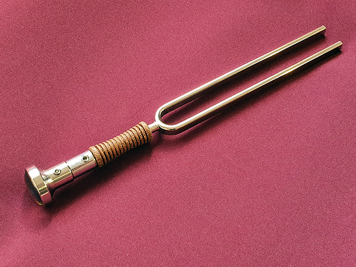 Tuning Fork Stem Adapter